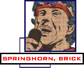 Brick Springhorn -- not Bruce Springsteen, but an amazing simulation